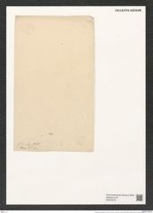 Actinoptychus greundleri A. Schm. (de-Toni-Nr.: Genus 227, Species 5610) Zeichnungen Sammlung Grunow (NHMW-BOT-W0379479)